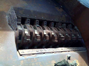 IMG00397.jpg