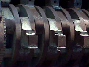 IMG00397.jpg